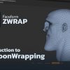 Introduction to Cartoon Wrapping in ZWrap