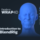 Introduction to BlendRig in Wrap4D