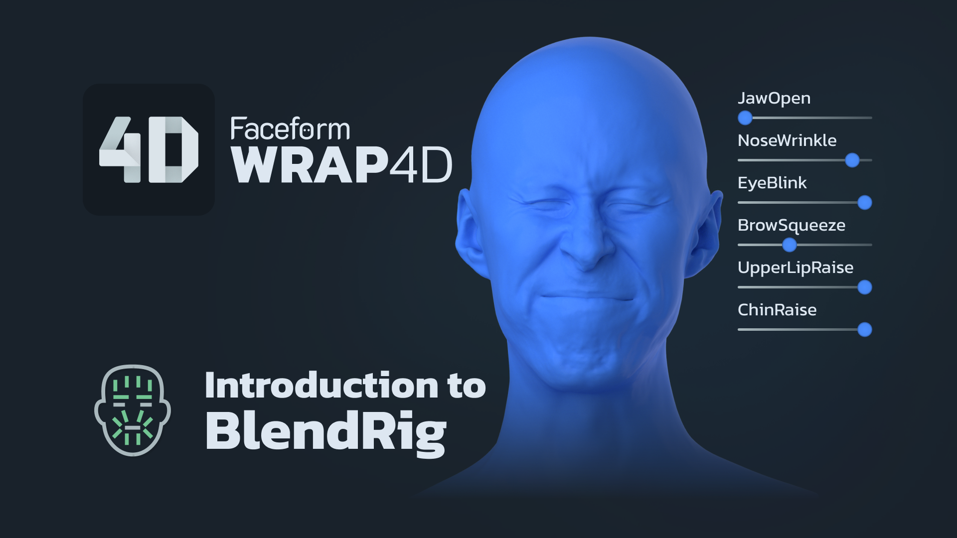 Introduction to BlendRig in Wrap4D