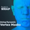 Using Dynamic Vertex Masks in Wrap